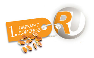 как заработать в интернете на парковке доменов